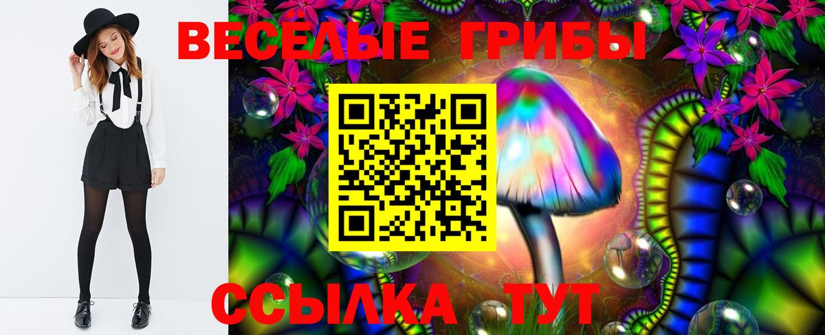 Углич  Псилоцибиновые грибы ЛСД  Вход с VPN  Галлюциногенные грибы прущие грибы 